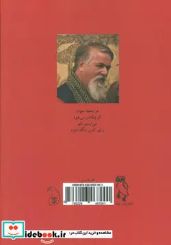 کتاب کبوتران نامه بر در سطل زباله تخم می گذارند  - اثر رحیم مولاییان - نسخه اصلی