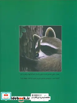 کتاب چستر راکون و بوسه خداحافظی  - اثر اودری پن - نسخه اصلی