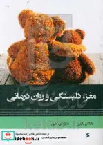 کتاب مغز دلبستگی و روان درمانی - اثر جاناتان بایلین-دنیل ای.هیوز - نسخه اصلی