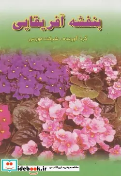 کتاب بنفشه آفریقایی - اثر شرکت مورس - نسخه اصلی