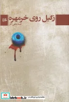کتاب زگیل روی خرمهره - اثر امید پناهی آذر - نسخه اصلی