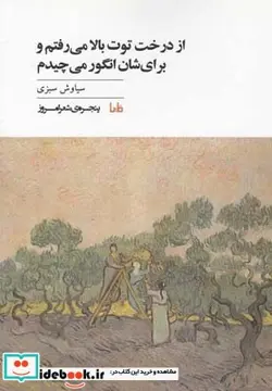 کتاب پنجره‌ی شعر امروز - اثر سیاوش سبزی - نسخه اصلی