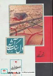 کتاب دل سنگ آب شد - اثر علی انسانی - نسخه اصلی