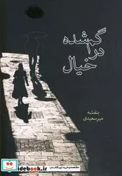 کتاب گم شده در خیال  - اثر بنفشه میرسعیدی - نسخه اصلی