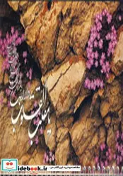 کتاب تقویم رومیزی چهار فصل ایران 88 - نسخه اصلی