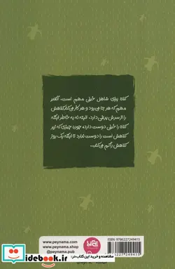 کتاب لاک پشت های سبز دریایی  - اثر روناک ربیعی - نسخه اصلی