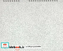 کتاب تقویم رومیزی 1399 و کارت پستال های گربه و پرنده  - اثر سپهر زهرایی - نسخه اصلی