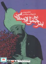کتاب دیوان پیر جمال اردستانی  - اثر ابوطالب میرعابدینی - نسخه اصلی