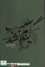 کتاب گندم نشد سیب - اثر امیر فلاح - نسخه اصلی