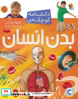 کتاب بدن انسان  - اثر فیونا چندلر - نسخه اصلی