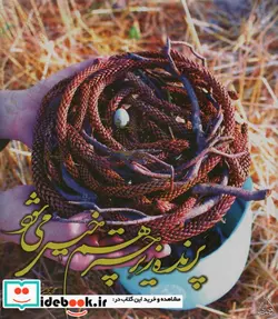 کتاب پرنده زیر چتر هم خیس می شود  - اثر محمدمجید سپنتافر - نسخه اصلی