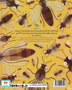 کتاب اسرار زنبورهای عسل  - اثر پیوتر سوخا-ویچه گرایکوفسکی - نسخه اصلی