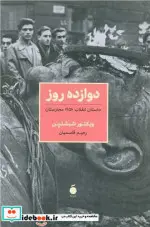 کتاب 12 روز داستان انقلاب 1956 محارستان شمیز،رقعی،مد - اثر ویکتور شبشتین - نسخه اصلی