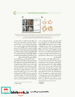 کتاب آنتی بادی های درمانی از تولید تا کاربرد بالینی - اثر امیرحسین منصورآبادی-دکتر فاطمه فرجی-دکتر فهیمه لاوی عرب-دکتر مریم عظیمی-دکتر آرزو رجبیان-هاله عبدلی سرشکی-ساحل حیدری - نسخه اصلی