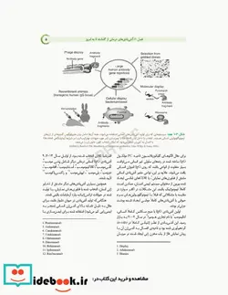 کتاب آنتی بادی های درمانی از تولید تا کاربرد بالینی - اثر امیرحسین منصورآبادی-دکتر فاطمه فرجی-دکتر فهیمه لاوی عرب-دکتر مریم عظیمی-دکتر آرزو رجبیان-هاله عبدلی سرشکی-ساحل حیدری - نسخه اصلی