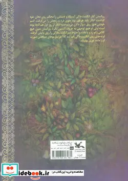 کتاب طلسم سیاه دل - اثر کورنلیاکارولینه فونکه - نسخه اصلی