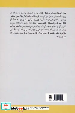 کتاب خدا و زندگی پس از مرگ طرح نقد - اثر جفری لانگ-پل پری - نسخه اصلی