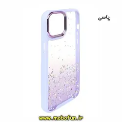 قاب گوشی iPhone 12 Pro - iPhone 12 آیفون طرح اکلیلی رزینی پشت طلق شفاف دور سیلیکونی متال کیس Metal Case یاسی کد 308