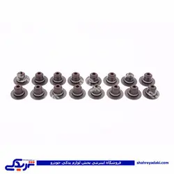 ال 90 لاستیک سوپاپ ویژن دست 16 عددی 9000244028 L90 (خرید عمده تکی)