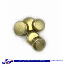 پژو پولک آب 405 دینا پارت 1202299 (خرید عمده تکی)