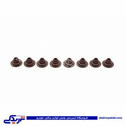 پراید آلومینیوم عقب میل لنگ با کاسه نمد دینا پارت   1502023 (خرید عمده تکی)