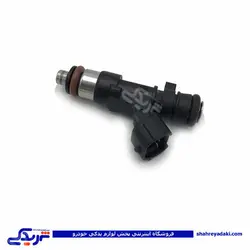 پژو سوزن انژکتور 206 ایساکو TU5رانا ایساکو فرانسوی 130101409 (خرید عمده تکی)