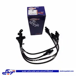 پژو وایر شمع 405 انژکتور دوگانه سوز دینا پارت 1202073 (خرید عمده تکی)