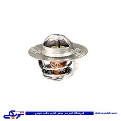 پژو ترموستات 405 83 درجه AMT 9000251107 (خرید عمده تکی)