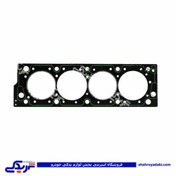 پژو واشر سرسیلندر 405 2 سوراخ کیک KIK 101001010201 (خرید عمده تکی)