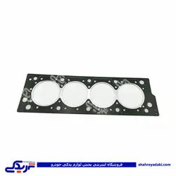 پژو واشر سرسیلندر 405 2 سوراخ کیک KIK 101001010201 (خرید عمده تکی)