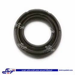 پژو کاسه نمد ژامبون (اکسل عقب) 206 ویژن 9000244150 (خرید عمده تکی)