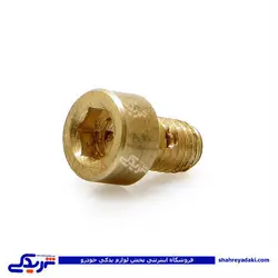 پژو پیچ هواگیری درب ترموستات آلنی 405 ایساکو 400600599 (خرید عمده تکی)