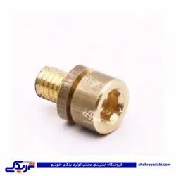 پژو پیچ هواگیری درب ترموستات آلنی 405 ایساکو 400600599 (خرید عمده تکی)