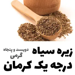 زیره سیاه درجه یک کوهی کرمان بسیار معطر