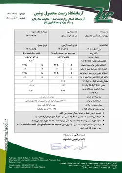 محافظ بالش آنتی باکتریال ضد آب ورنا