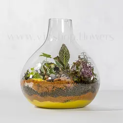 خرید و قیمت تراریوم خاص با شن های رنگی