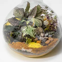 خرید و قیمت تراریوم خاص با شن های رنگی