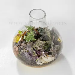 خرید و قیمت تراریوم خاص با شن های رنگی