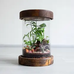 خرید تراریوم استوانه ای + قیمت و سفارش آنلاین