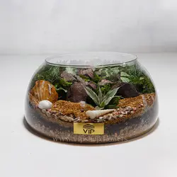 تراریوم شماره 7 - گل فروشی آنلاین VIP Shop