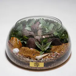 تراریوم شماره 7 - گل فروشی آنلاین VIP Shop
