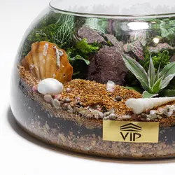 تراریوم شماره 7 - گل فروشی آنلاین VIP Shop