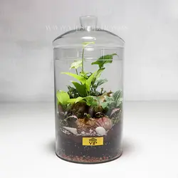 تراریوم بزرگ و رومیزی اداری