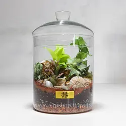 تراریوم بزرگ و رومیزی اداری