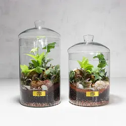 تراریوم بزرگ و رومیزی اداری