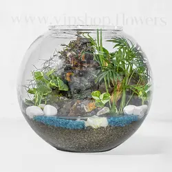 خرید تراریوم طرح آبشار با ارسال رایگان