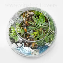 خرید تراریوم طرح آبشار با ارسال رایگان