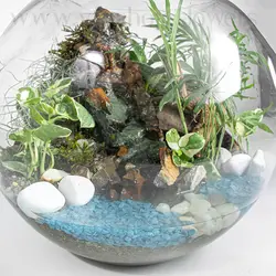 خرید تراریوم طرح آبشار با ارسال رایگان