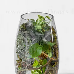 تراریوم پایه دار شیشه ای