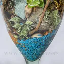 تراریوم پایه دار شیشه ای